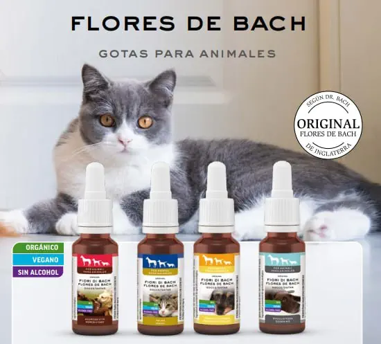 Flores de Bach gotas para animales