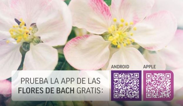 Flores Bach app